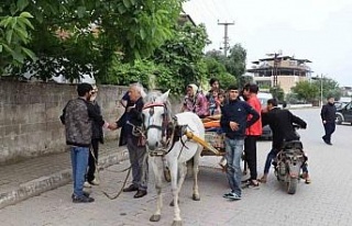 Başkan Özcan 8 kardeşin memleketlerine dönmelerini...