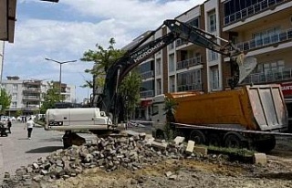 Davutlar’da hizmet seferberliği hız kesmeden devam...