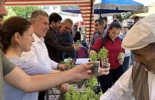 Doğal sivrisinek kovar fesleğenler yoğun ilgi gördü