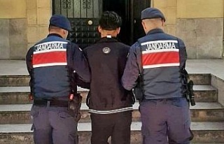 Jandarma ekipleri hırsızlık olaylarını aydınlattı