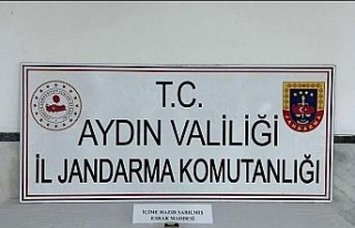 Jandarma uyuşturucuya geçit vermiyor: 1 gözaltı