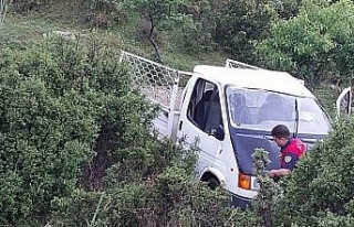 Kamyonet şarampole yuvarlandı