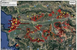 Aydın’da ormanlık alanlara izinsiz girilemeyecek