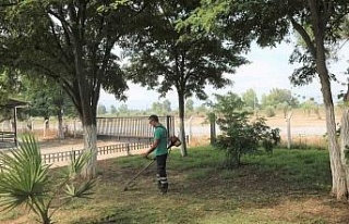 Efeler’de hayvan pazarı bayrama hazır