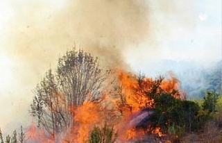 EKODOSD, vatandaşları yangınlara karşı uyardı