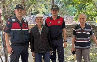 Jandarma ekipleri yaşlı çınarları unutmuyor