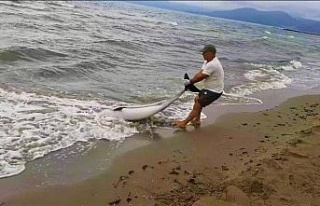 Kuşadası’nda yunus vakaları devam ediyor