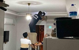 Aydın’da yarasa paniği