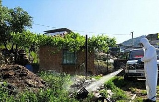 Çine’de sineklerle mücadele aralıksız sürüyor