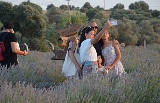 Didim’de 3. Lavanta festivali yoğunluğu