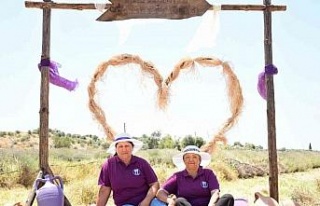 Didim’in mis kokulu Lavanta Festivali’ne sayılı...