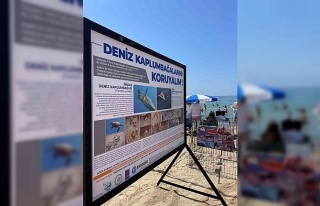 Kuşadası Belediyesi’nden Caretta Caretta yuvaları...