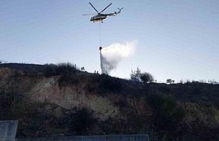 Söke’de makilik yangınına hızlı müdahale felaketin...