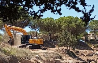 Tabiat alanında, kepçe ve hızarlı “temizlik”,...