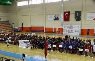 Aydın, ANALİG Hentbol Türkiye Şampiyonası heyecanını...