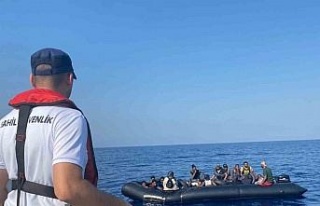 Aydın’da 29 düzensiz göçmen yakalandı