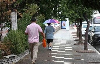 Aydın’da başlayan yaz yağmuru serinletti