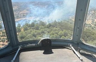 Aydın’daki orman yangını büyümeden söndürüldü