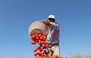 Başkan Atay, Efeler’de tarıma değer katıyor