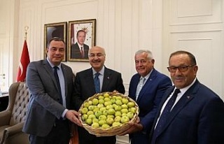 Borsa, sezonun ilk incirini İzmir Valisi Köşger’e...