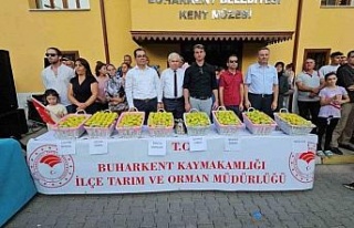 Buharkent festivalinde kurumlar arası örnek işbirliği