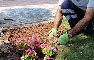 Efeler’in ekipleri ilçe genelinde çalışmalarını...