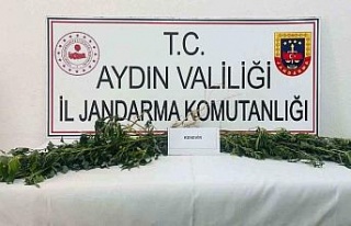 Jandarma uyuşturucuya geçit vermiyor
