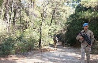 Ormanlık alanlar havadan ve karadan denetlendi