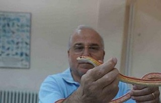 Prof. Dr. Olgun: "Pandemi yılanların sayısını...