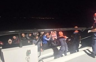 Aydın’da 65 düzensiz göçmen yakalandı