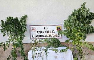 Aydın’da jandarma ekipleri uyuşturucuya geçit...