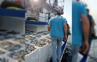Balık avı sezonu ile birlikte gırgır teknelerinde...