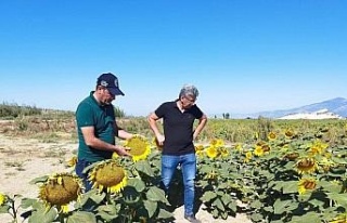 Didim’de haftalık kontroller devam ediyor