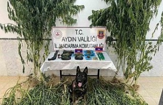 Hurdalıkta uyuşturucu operasyonu: 1 tutuklama