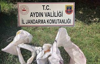 Jandarma’dan tarımsal ürün hırsızlığına...