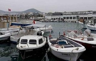 Kuşadası Belediye Başkan Yardımcısı Atak: "Balıkçılar...