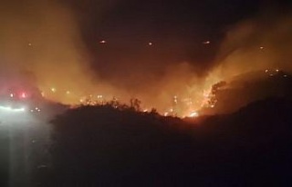 Söke’de makilik yangını yerleşim yerlerini tehdit...