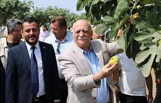TZOB Genel Başkanı Bayraktar: “TMO’nun piyasaya...