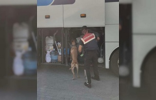 Aydın’da jandarma ekipleri düzensiz göçe geçit...