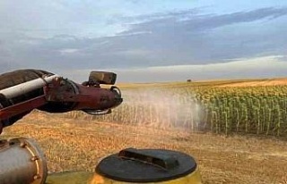 Aydın’da zirai kaynaklı kirlilik ele alındı