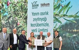 Türkiye’deki delice zeytinleri ekonomiye kazandırılmaya...