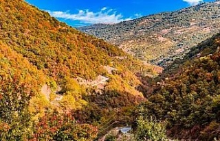 Aydın dağlarındaki son bahar manzaraları mest...