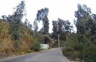 Aydın’da freni tutmayan minibüs devrildi: 3 yaralı