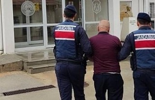 Jandarma ekipleri 52 aranan şahsı kıskıvrak yakaladı