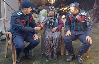 Aydın İl Jandarma Komutanlığı asırlık çınarları...