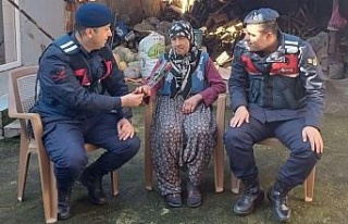 Aydın İl Jandarma Komutanlığı asırlık çınarları...