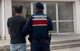 Aydın jandarmasından eş zamanlı operasyon