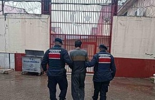 İş yeri hırsızlığı şüphelileri jandarmadan...