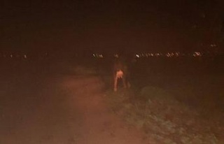 Jandarma kayıp hayvanı buldu