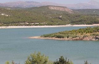 Karacasu için imzalar atıldı, 290 dekar alanı...
